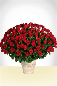 Flores a  Imperial: 180 Rosas