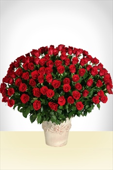 Ms Regalos - Imperial: 180 Rosas