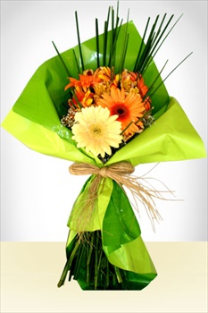 Flores a  Bouquet de Gerberas: l y ella