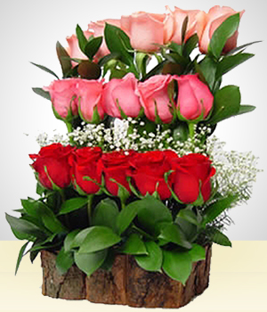 Agradecimiento - Cataratas de ensueño con 15 Rosas