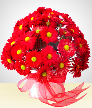 Arreglos Florales - Sentimiento Rojo