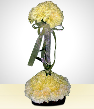 Arreglos Florales - Pureza de Claveles