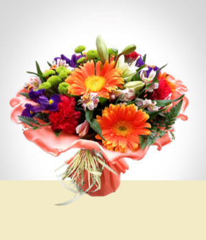 Gerbera - Bouquet Melocotn