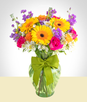 Cumpleaos - Gerberas Felices